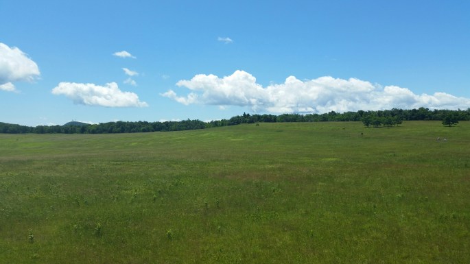 wp-1435868106138 image