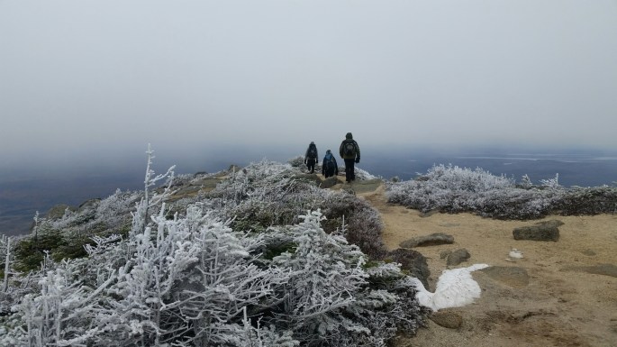 wp-1446661669171 image