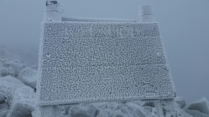 wp-1446661860825 image